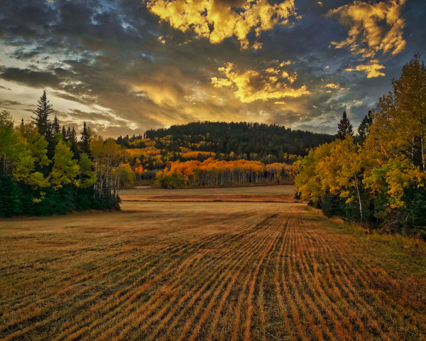 Golden Hour by Roger O'Dea