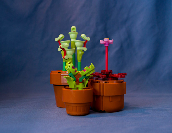 A Study of Carnivorous Plants (Lego) by Marissa Casper