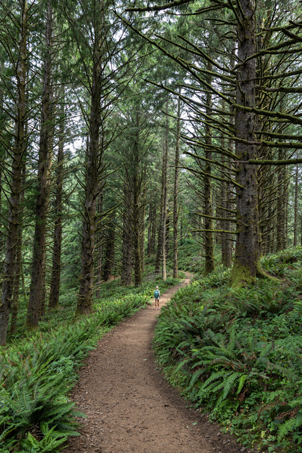 Grounded by Sierra Hoop