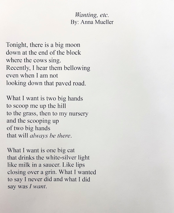 Wanting, Etc. by Anne Mueller