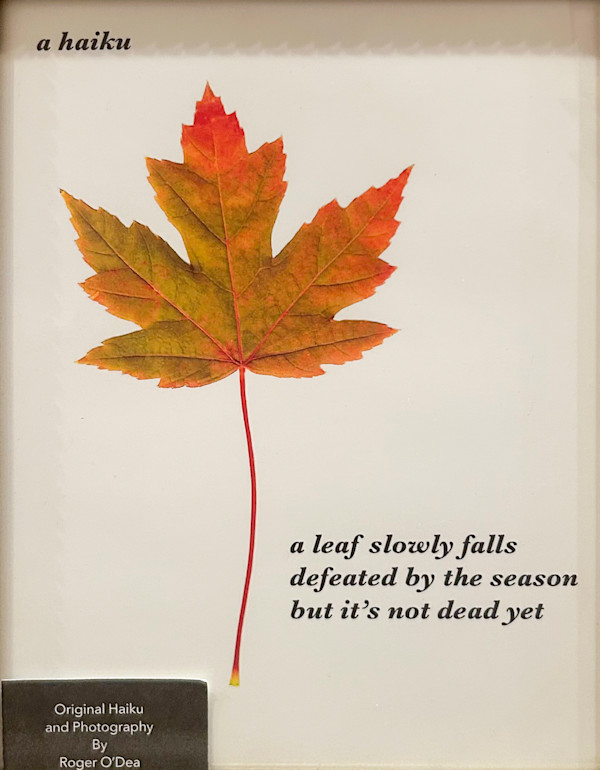 A Haiku by Roger O'Dea