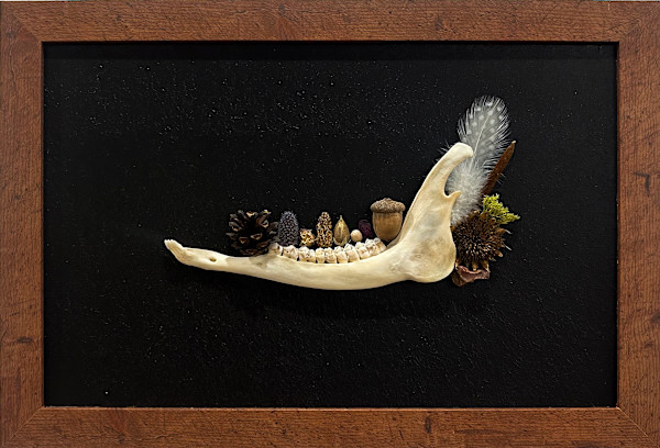 Nature's Attic by Pinecone Boneworks