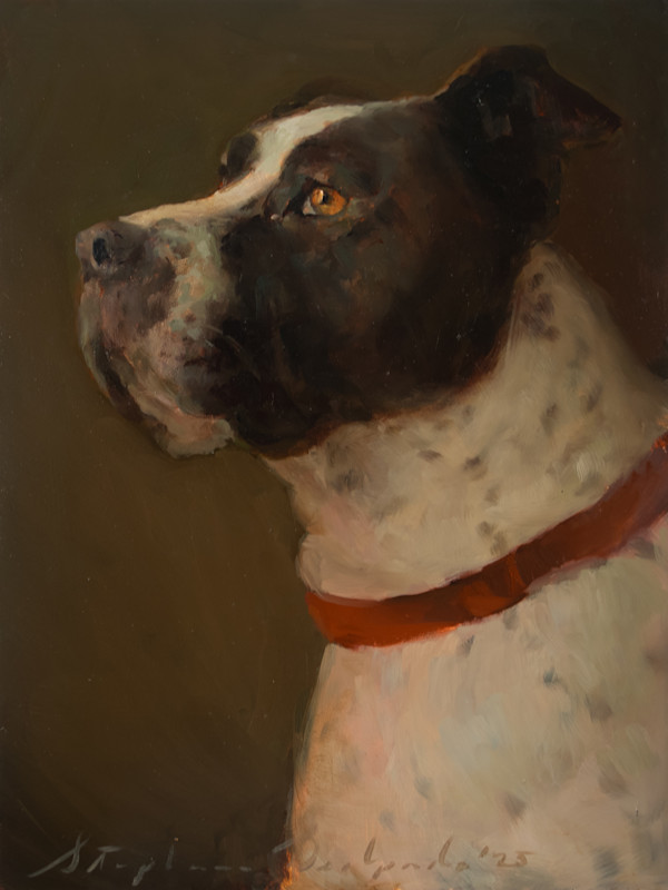 Perdie by Stephanie Deshpande