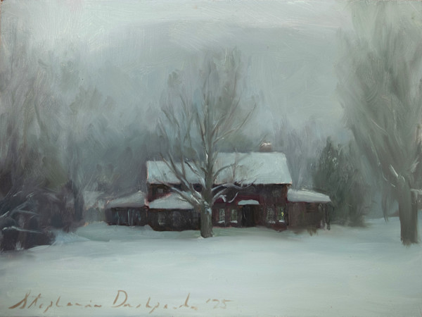 Adirondack Snowfall by Stephanie Deshpande