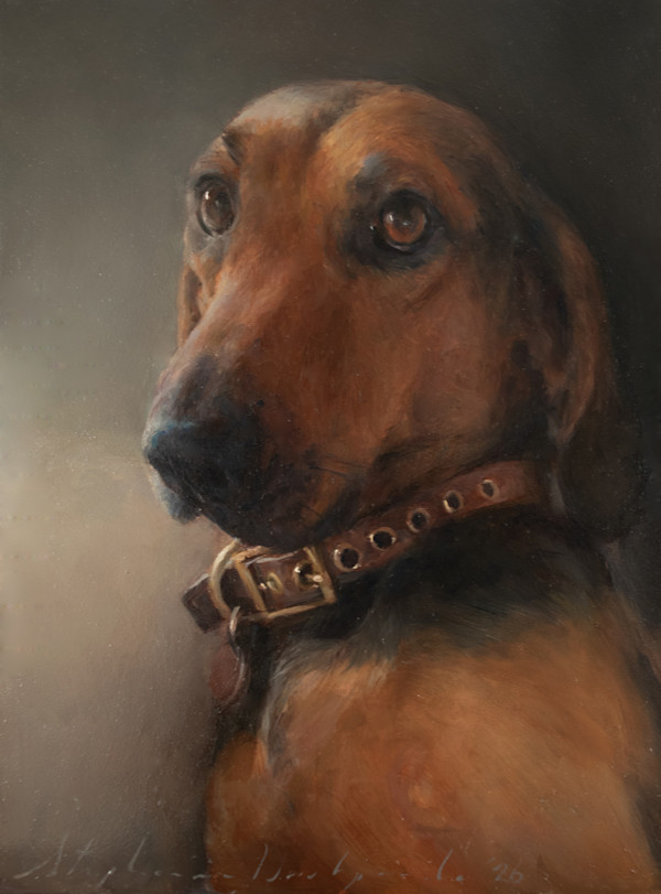 Portrait of Levi by Stephanie Deshpande, Image 1.