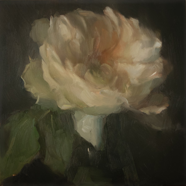 Single Rose by Stephanie Deshpande