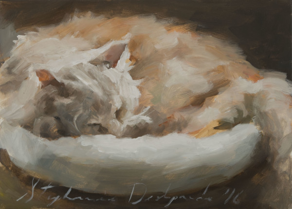 Curled Up by Stephanie Deshpande