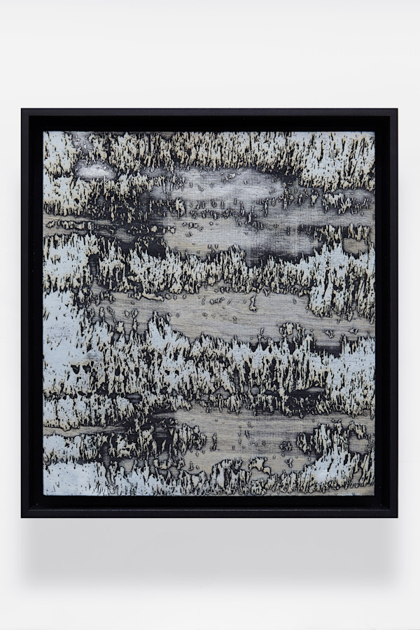 Black and White Debris