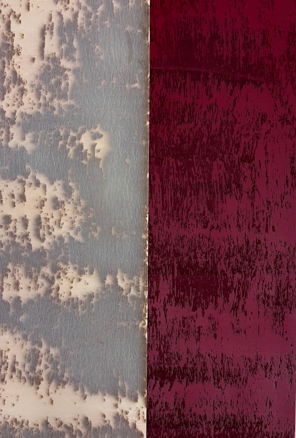 Dichotomy (Red & Raw)