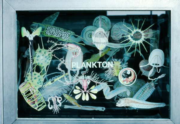 Plankton Window: ENDANGERED by April Vollmer