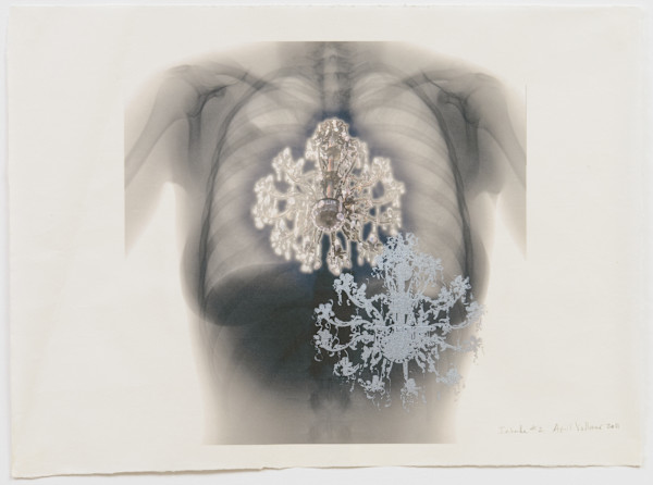 Inhale #2 - Series from Anderson Ranch by April Vollmer