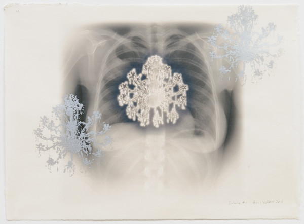 Inhale #1 - Series from Anderson Ranch by April Vollmer