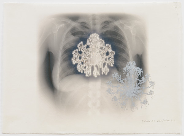 Inhale #4 - Series from Anderson Ranch by April Vollmer