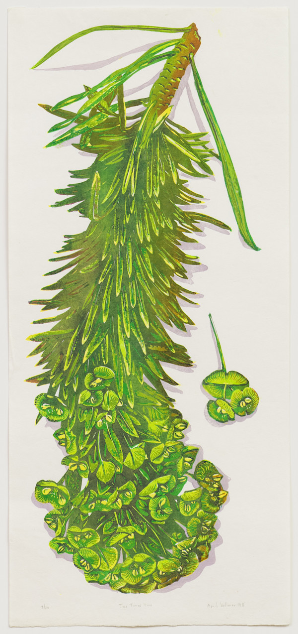 Two Times Two (euphorbia) by April Vollmer, Image 1.