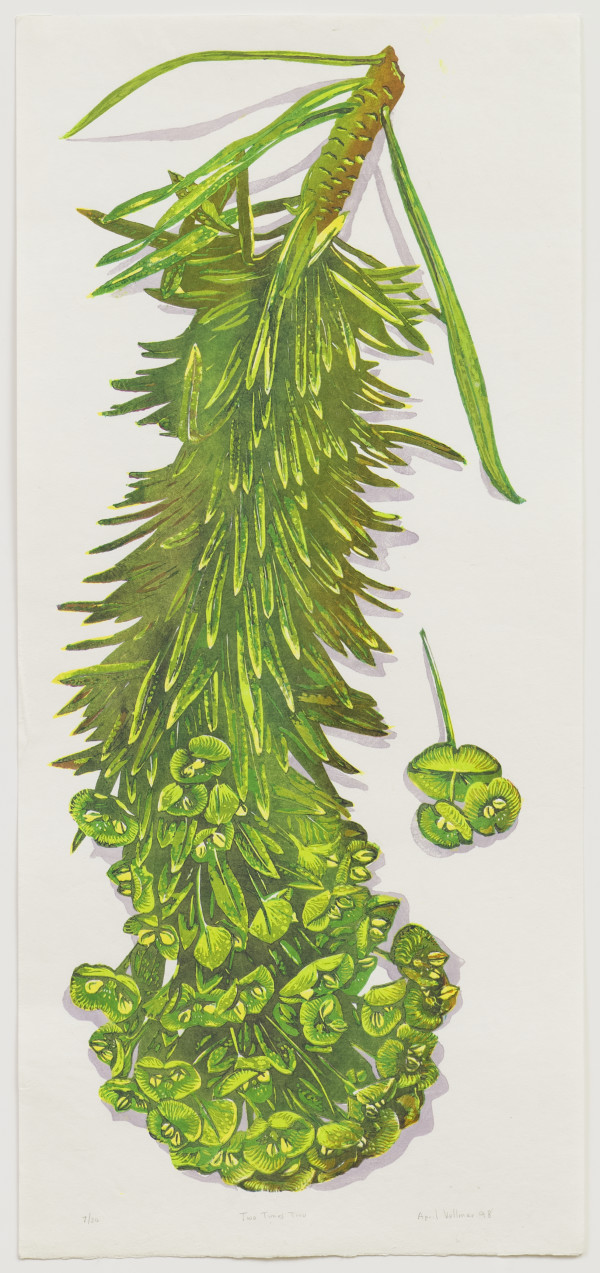 Two Times Two (euphorbia) by April Vollmer