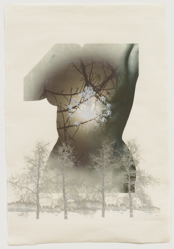 Torso Aspens (Torso #6) by April Vollmer