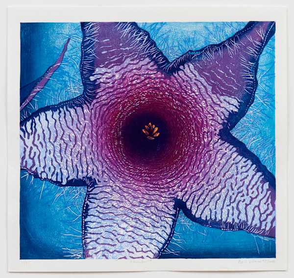 Attractor (ed 25) by April Vollmer