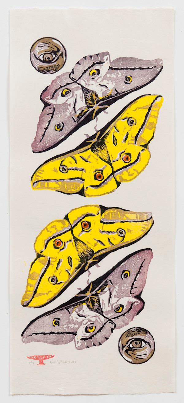 Eye Cup (Saturnidae) (ed 18) by April Vollmer