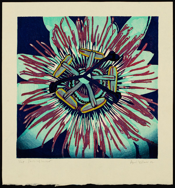 Passion Flower by April Vollmer