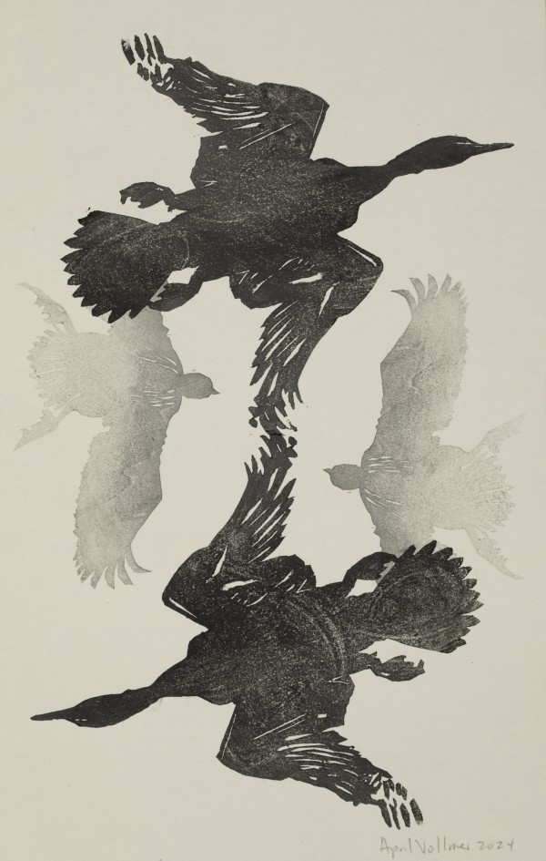 Bird Twins Cormorant Page by April Vollmer