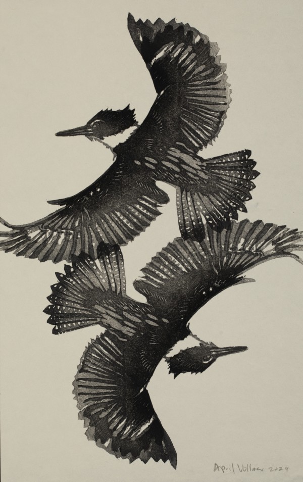 Bird Twins Book Kingfisher Page by April Vollmer