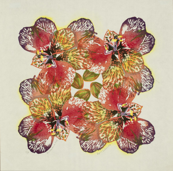 Alstroemeria, red (ed 8) by April Vollmer