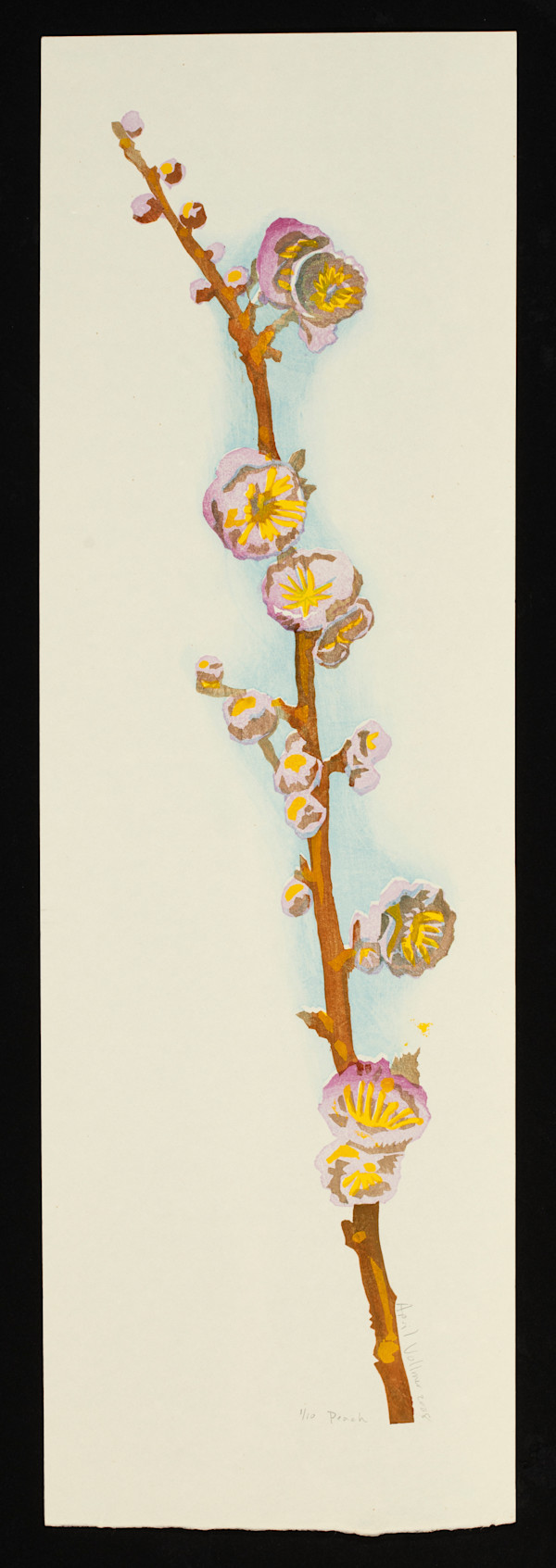 Peach Stem (ed 10) by April Vollmer