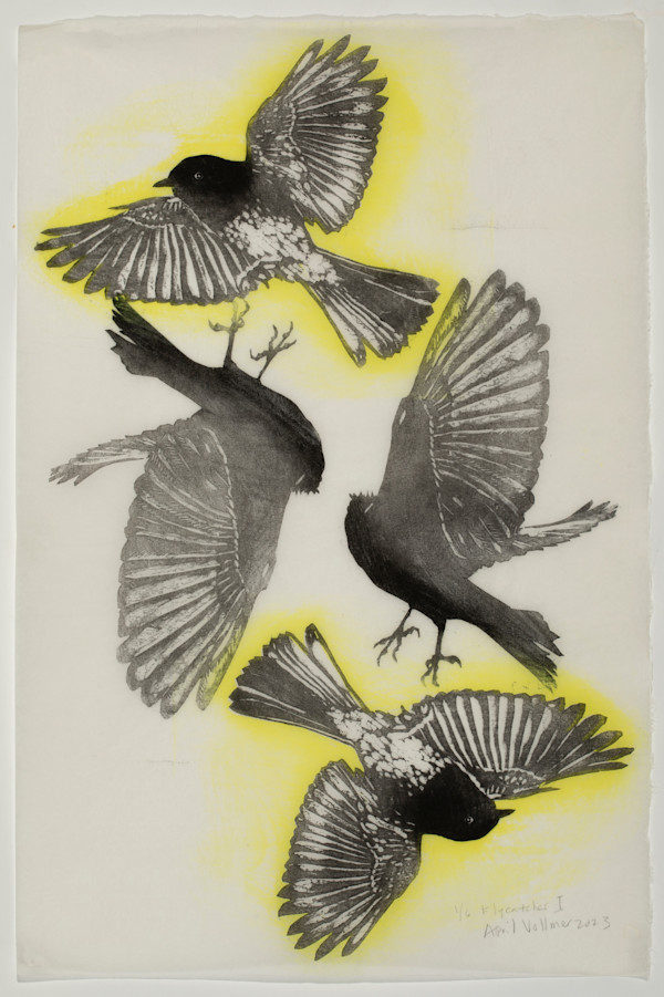 Flycatcher I (ed 6) by April Vollmer, Image 1.