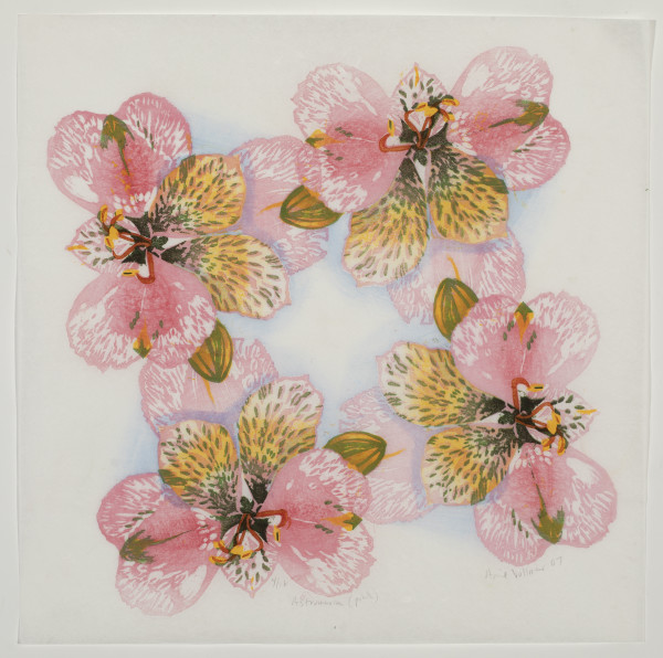 Alstroemeria (Pink, edition 18) by April Vollmer