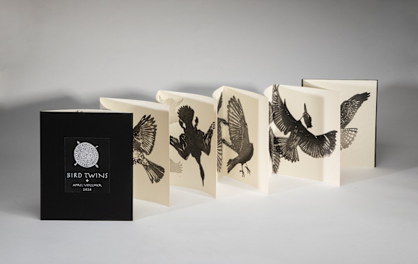 Bird Twins Book (ed 6) by April Vollmer