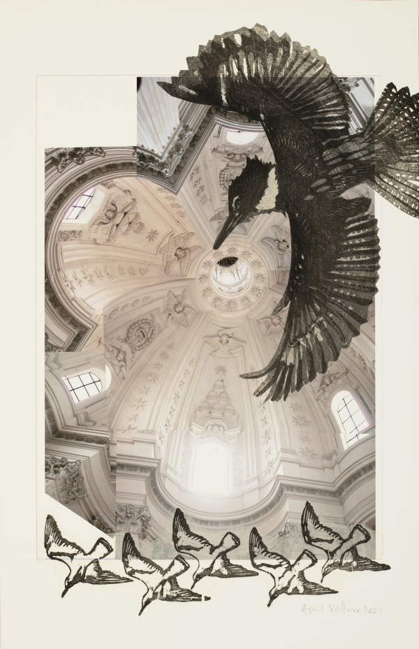 Inside Out: Sant'Ivo with Kingfisher and Bonaparte gulls by April Vollmer