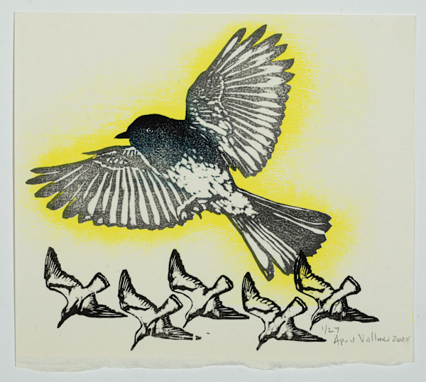 Swoop (black phoebe and Bonaparte's gulls) (ed 27) by April Vollmer