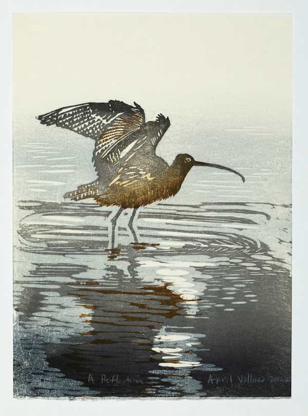 A Reflection (Long-billed Curlew) (Edge of Infinity Exchange) (ed 30) by April Vollmer