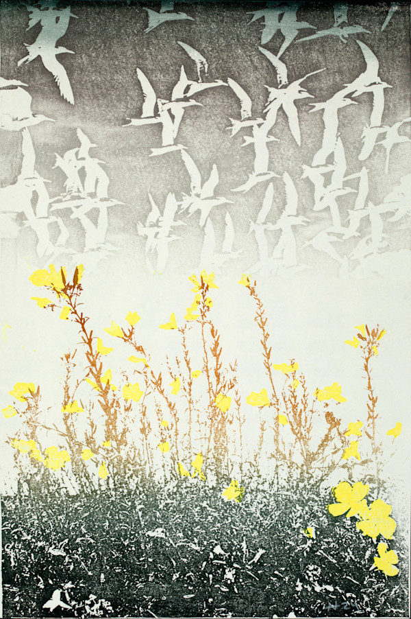 The Flight of Birds: Startling (ed 21) by April Vollmer