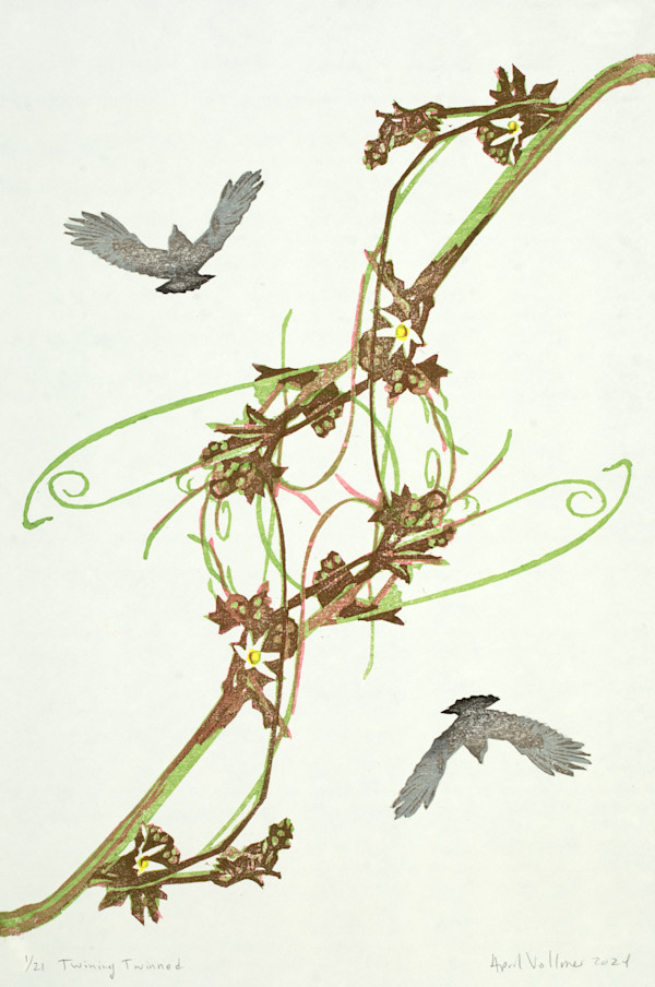 The Flight of Birds: Twining Twinned (ed 21) by April Vollmer