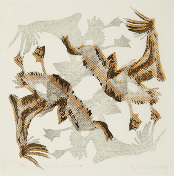 Pelican Somersault (ed 20) by April Vollmer