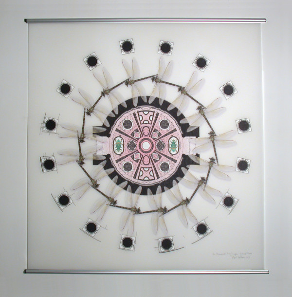 Bramante's Tiny Temple: Basement Floor Plan (dragonflies) by April Vollmer