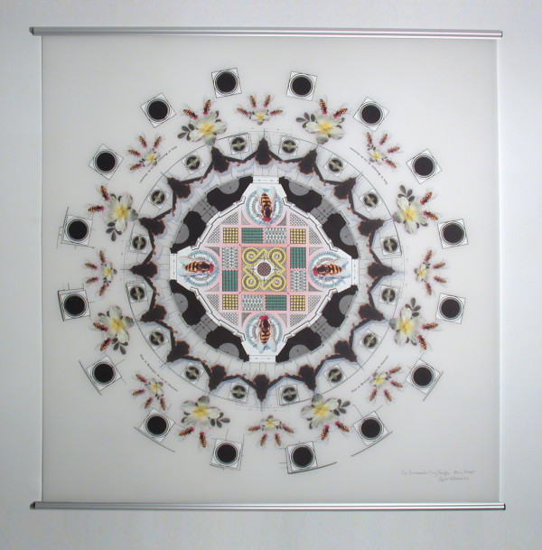 Bramante's Tiny Temple: Ground Floor (radiating syrphid flies) by April Vollmer