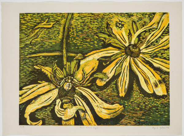 Two Black Eyed Susans by April Vollmer