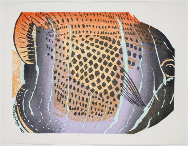 Sunset Fish by April Vollmer