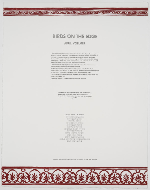 Birds on the Edge Colophon by April Vollmer