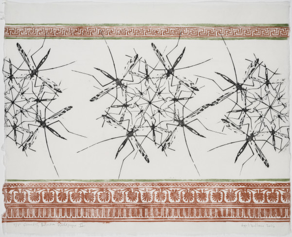 Cranefly Rotation Wallpaper II by April Vollmer