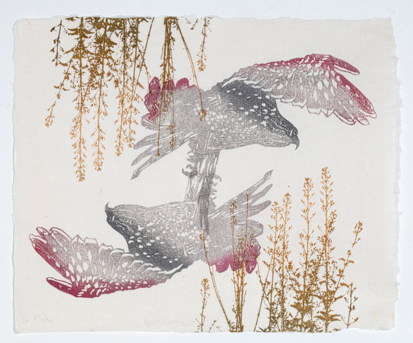 Flyby, ed 6 by April Vollmer, Image 2.