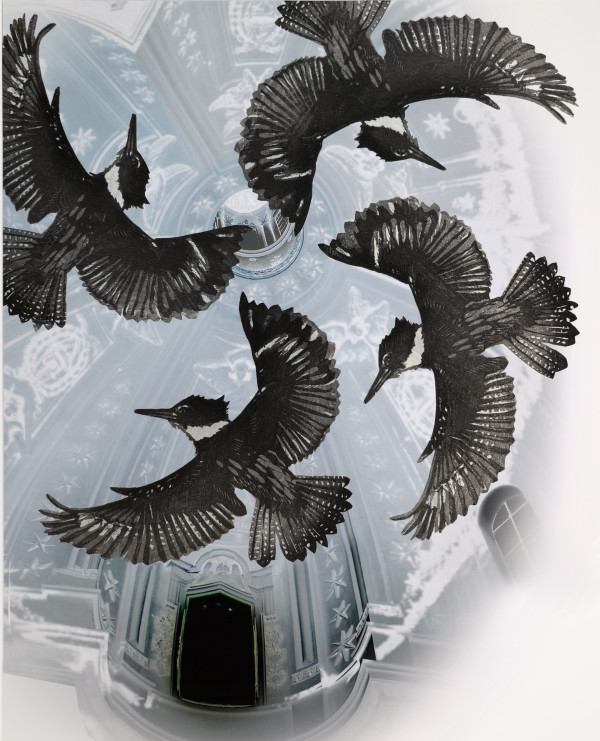 Four Kingfishers in the dome of Sant'Ivo (large) by April Vollmer