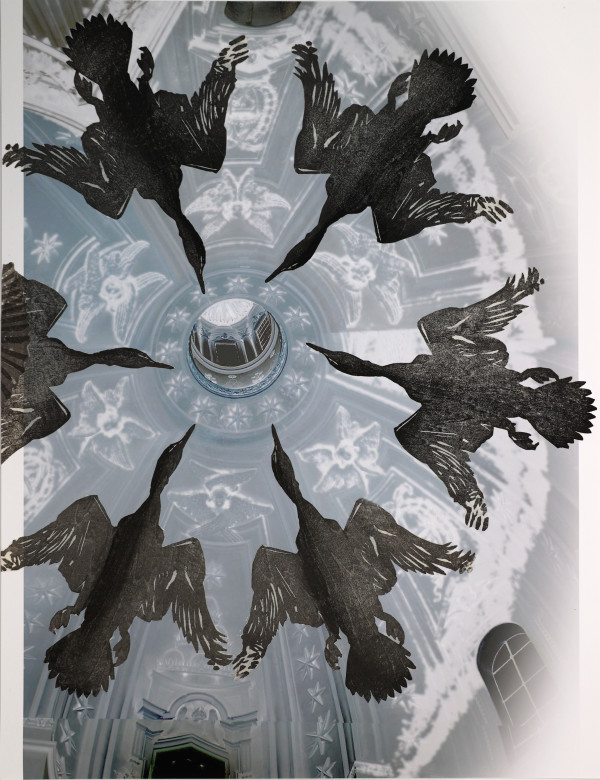 Six Cormorants in the dome of Sant'Ivo by April Vollmer