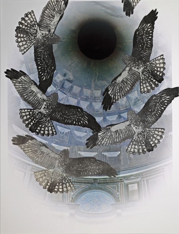 Six White-tailed Kites in the Pantheon, Rome by April Vollmer