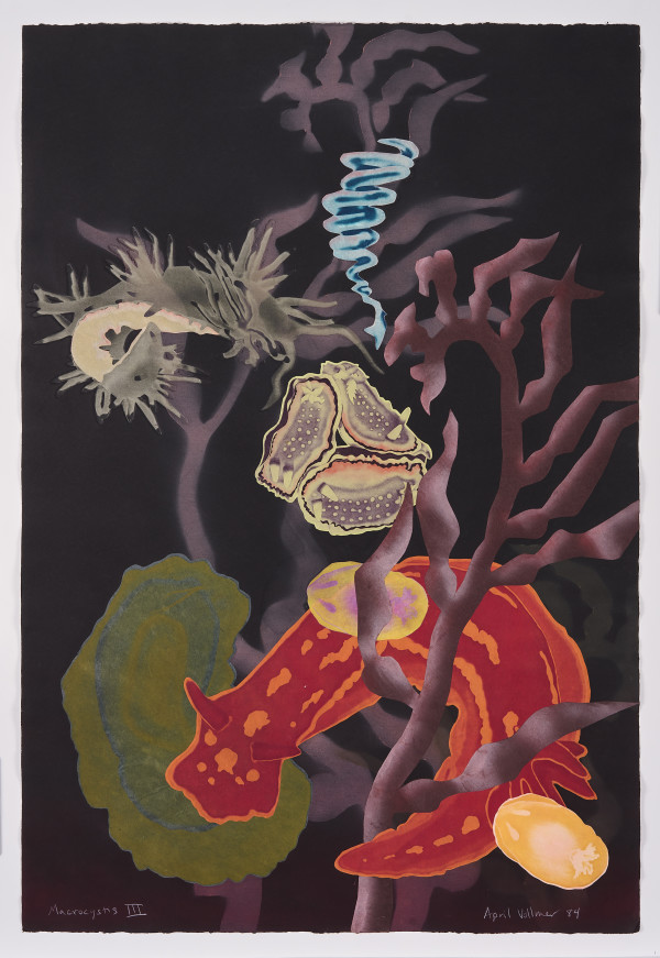 Macrocystis III by April Vollmer