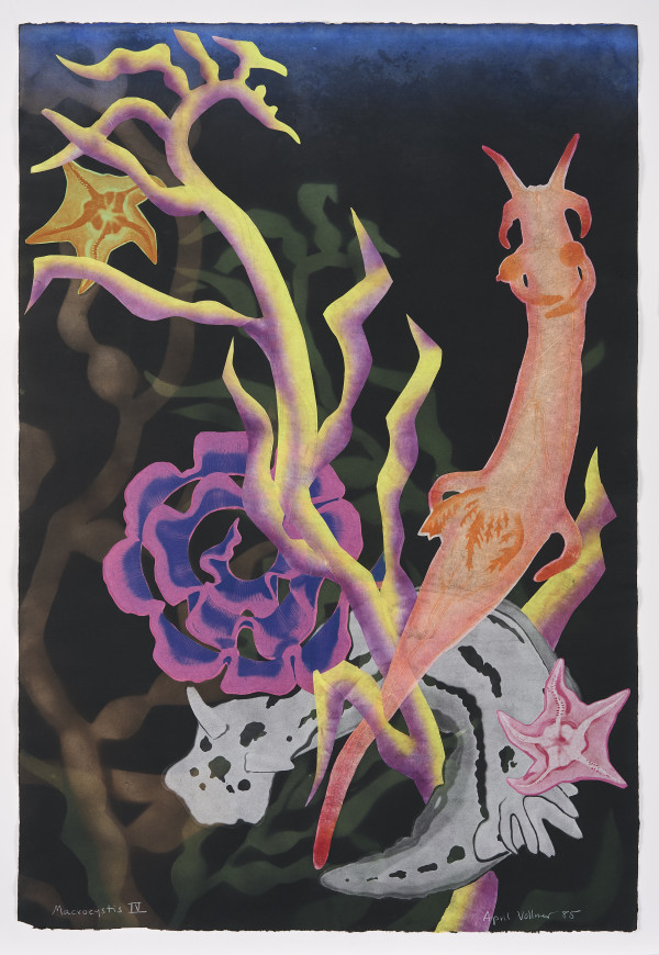 Macrocystis IV by April Vollmer