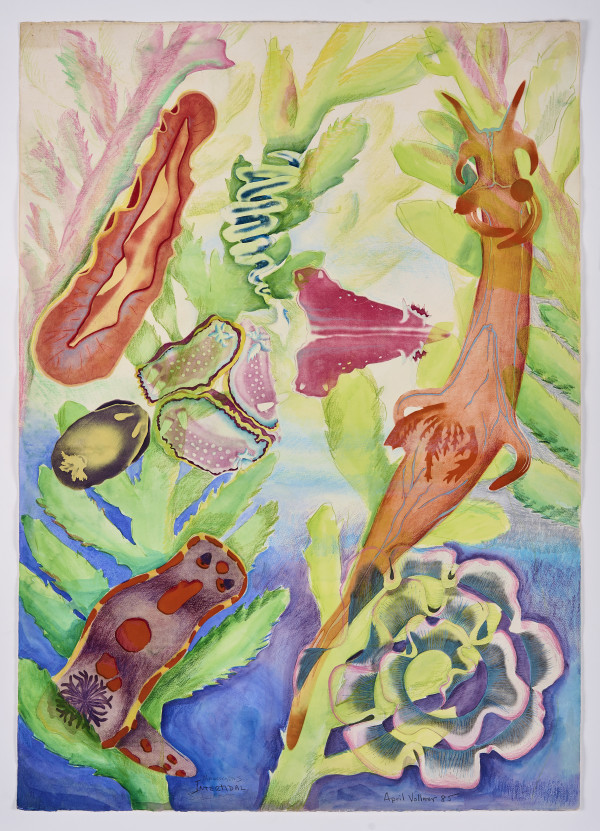 Macrocystis - Intertidal by April Vollmer
