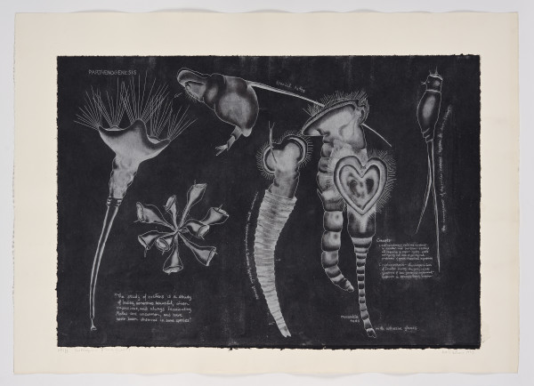 Parthenogenesis by April Vollmer